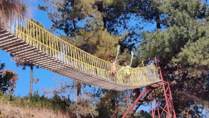 Blue Pine Resort