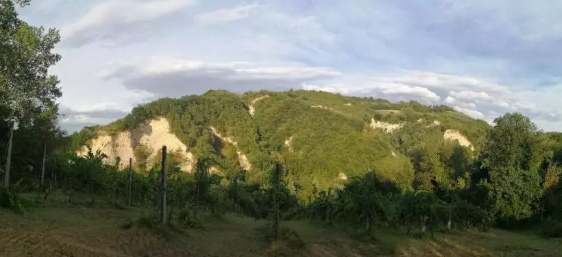 ホテル Agriturismo Il Palazzo