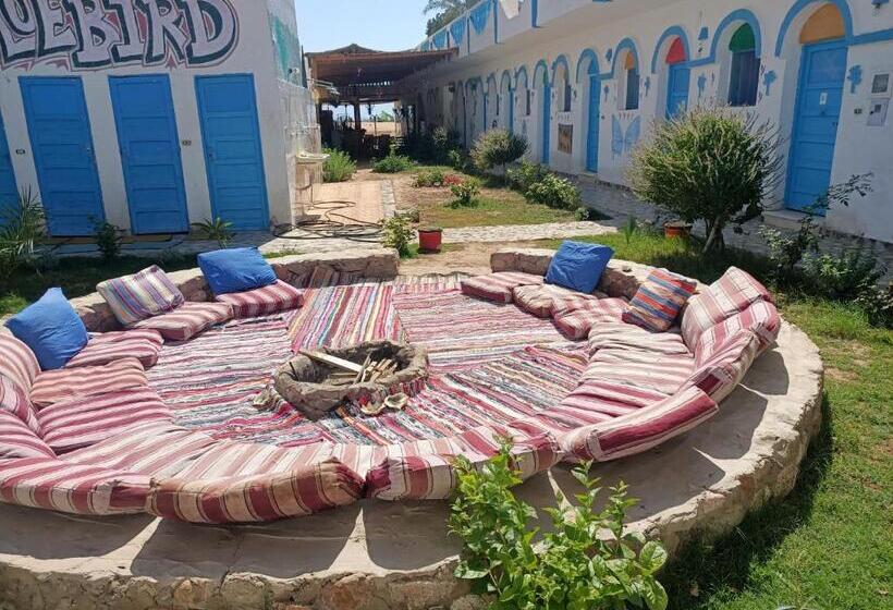 هتل Blue Bird Village