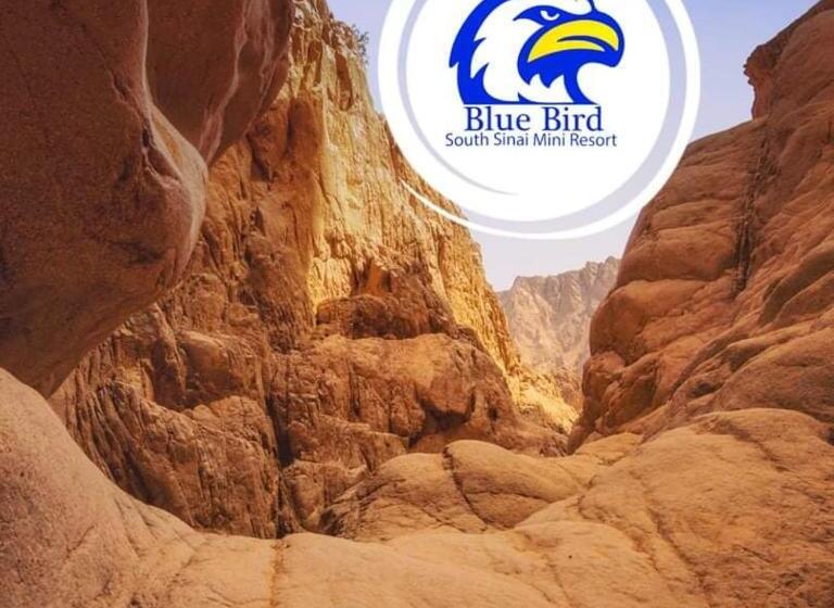 هتل Blue Bird Village