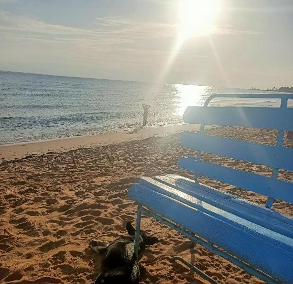 هتل Blue Bird Village