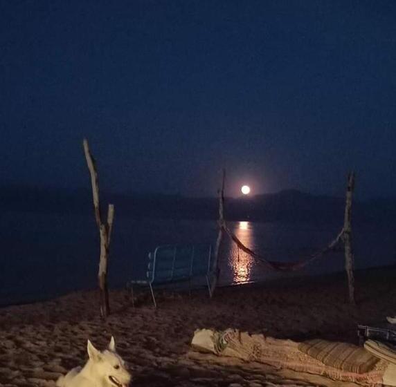 هتل Blue Bird Village