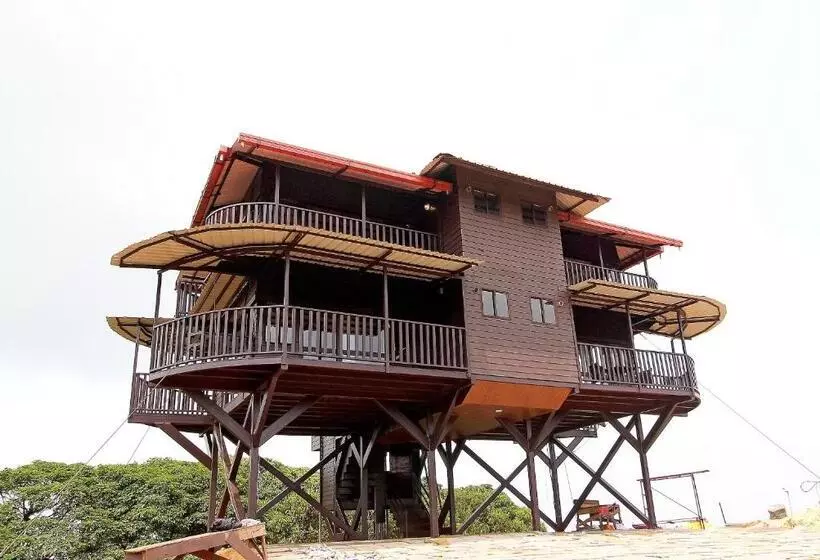 ホテル Capital O Coorg Treehouse