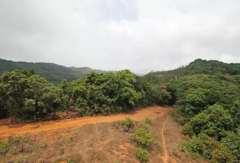 ホテル Capital O Coorg Treehouse