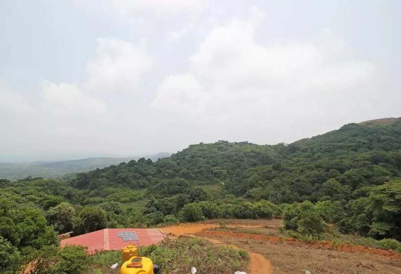 ホテル Capital O Coorg Treehouse