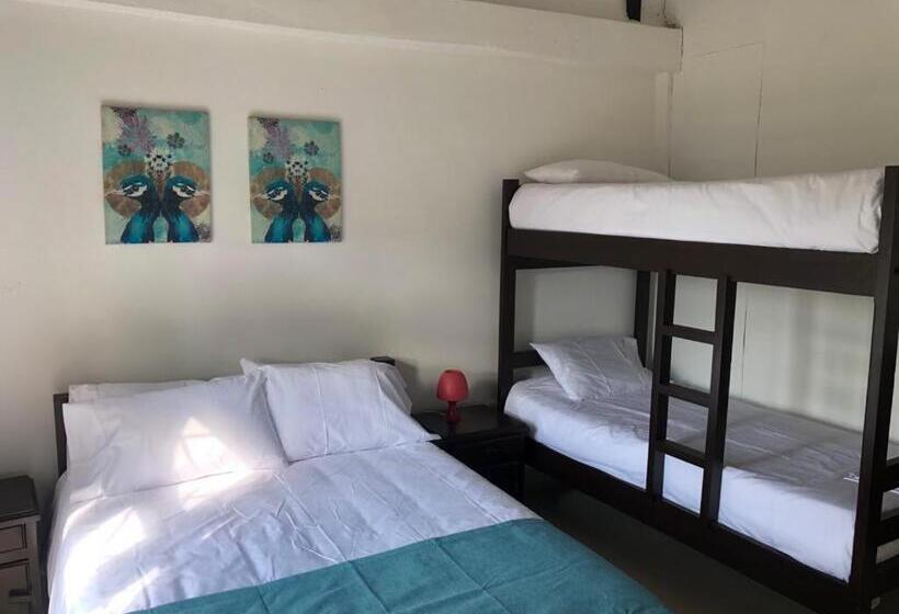 Hotel La Santísima La Mesa Eco Finca