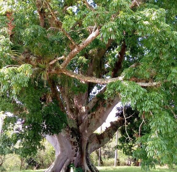 هتل Puerta Del Cafe