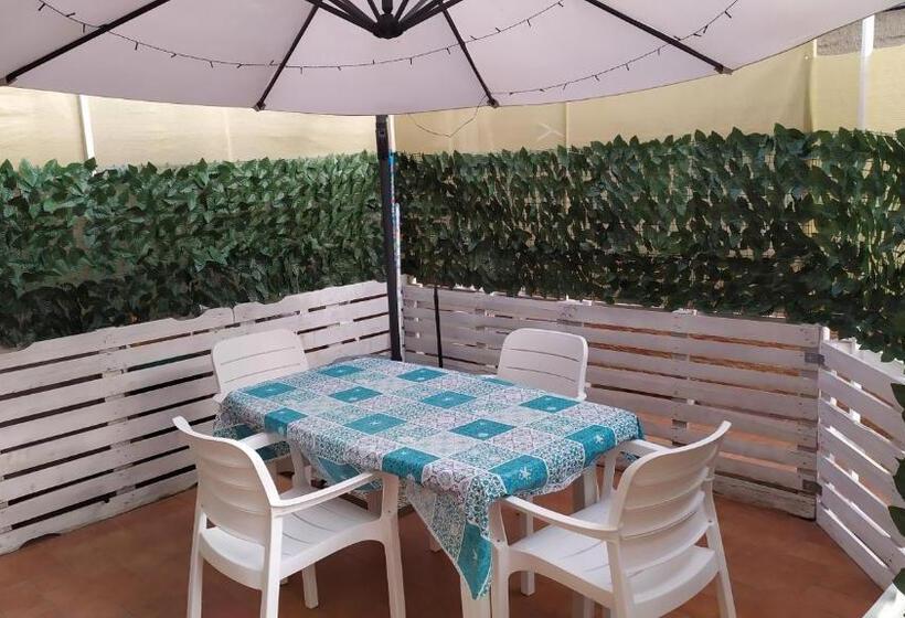 پانسیون New Island