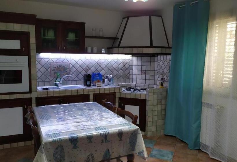 پانسیون New Island