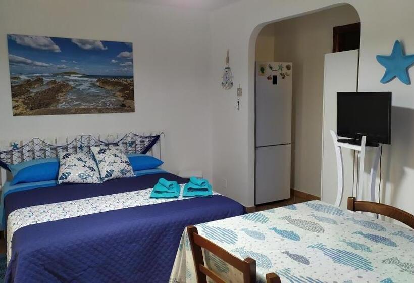 پانسیون New Island