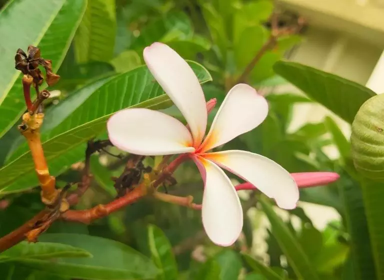 Lomakeskus A Latent Farm Stay