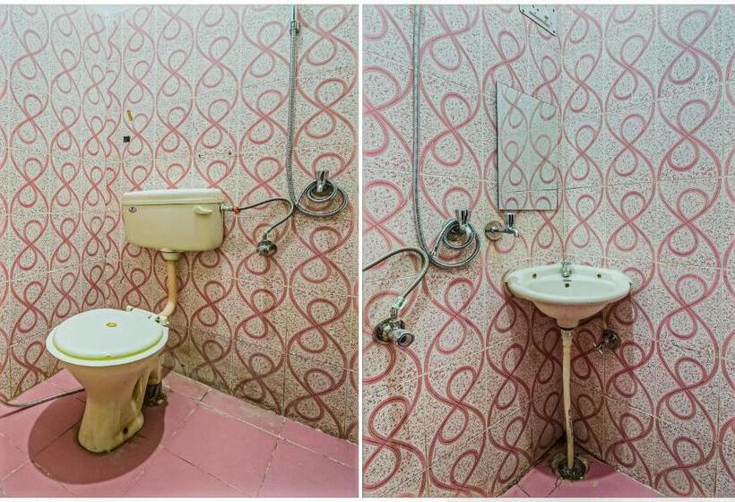 Spot On Hotel Green View Stays