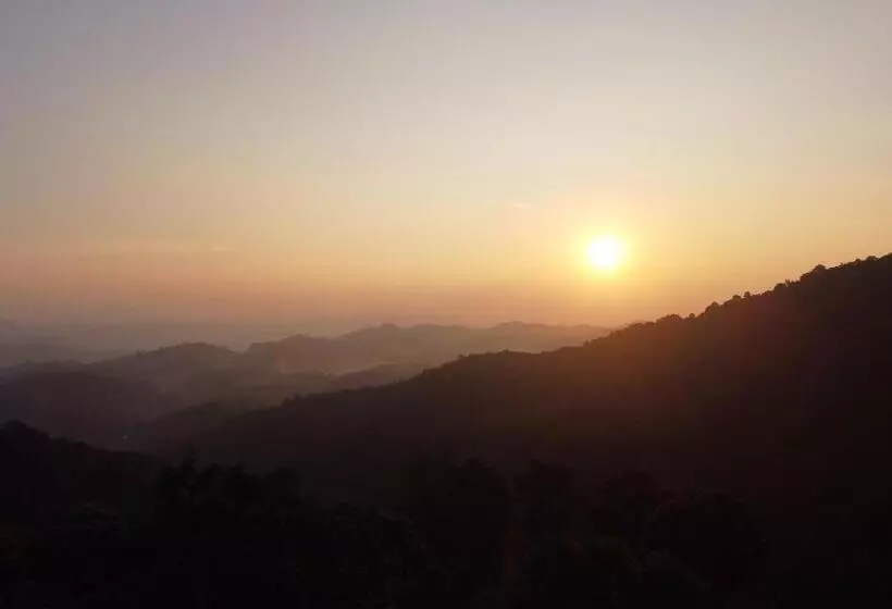 900 Woods Wayanad Eco Resort   A Sprawling Jungle Stay Near Glass Bridge