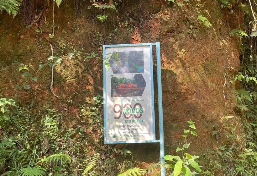 900 Woods Wayanad Eco Resort   A Sprawling Jungle Stay Near Glass Bridge