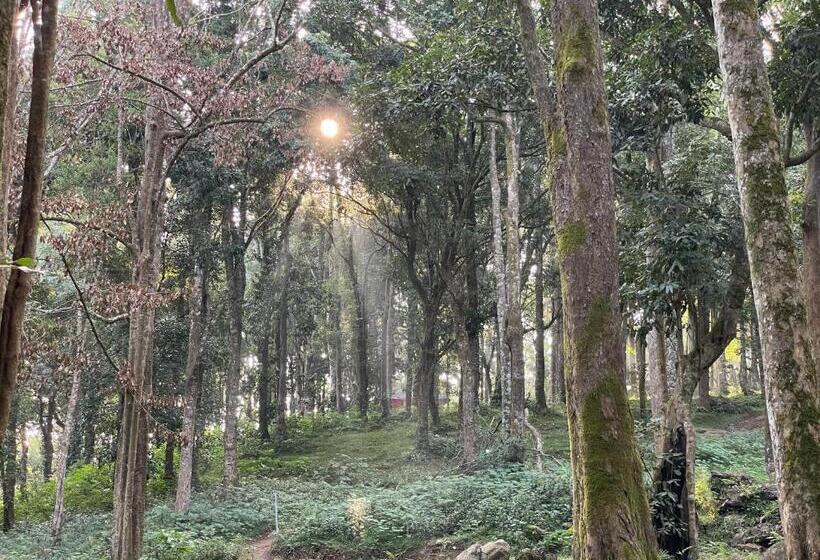 900 Woods Wayanad Eco Resort A Sprawling Jungle Stay Near Glass Bridge