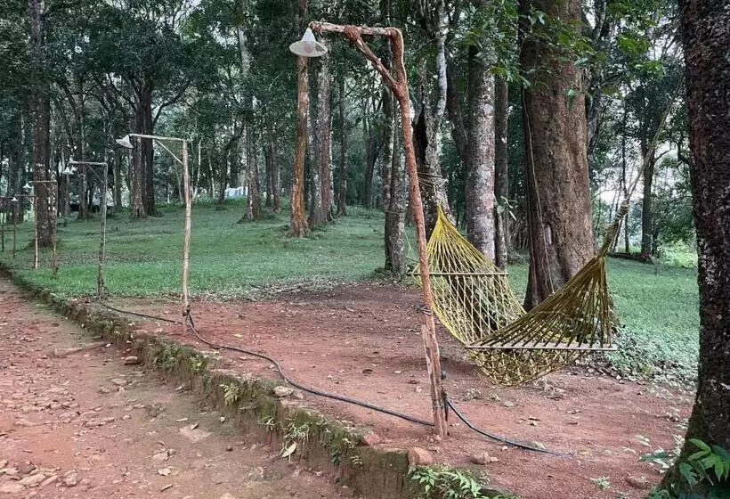 900 Woods Wayanad Eco Resort   A Sprawling Jungle Stay Near Glass Bridge