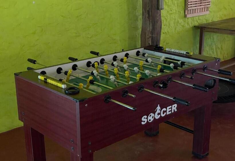 900 Woods Wayanad Eco Resort A Sprawling Jungle Stay Near Glass Bridge