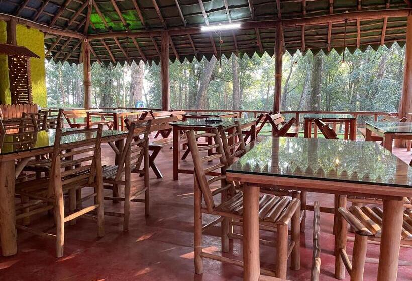 900 Woods Wayanad Eco Resort A Sprawling Jungle Stay Near Glass Bridge