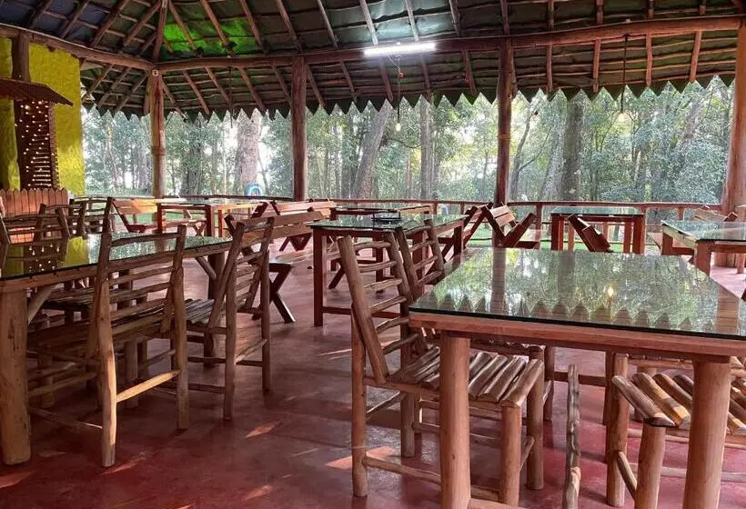 900 Woods Wayanad Eco Resort   A Sprawling Jungle Stay Near Glass Bridge