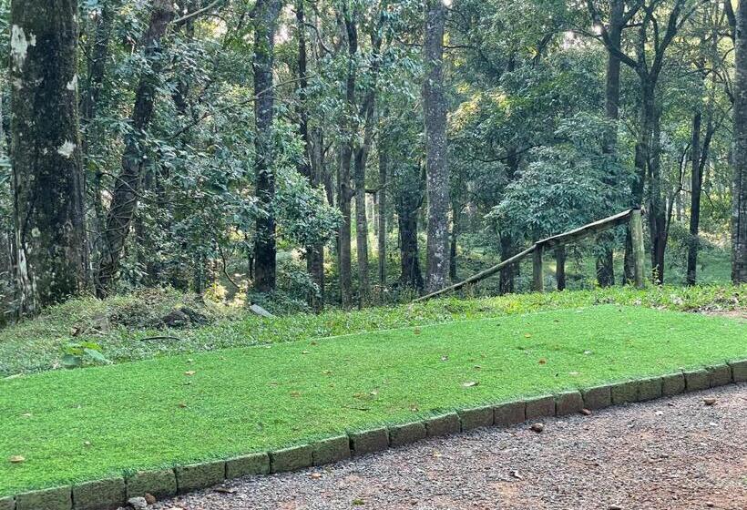 900 Woods Wayanad Eco Resort A Sprawling Jungle Stay Near Glass Bridge