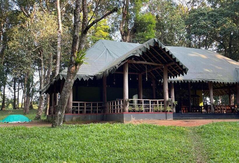 900 Woods Wayanad Eco Resort A Sprawling Jungle Stay Near Glass Bridge