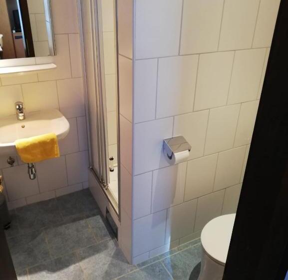 ユースホステル Gasthof Kogler Greisinger