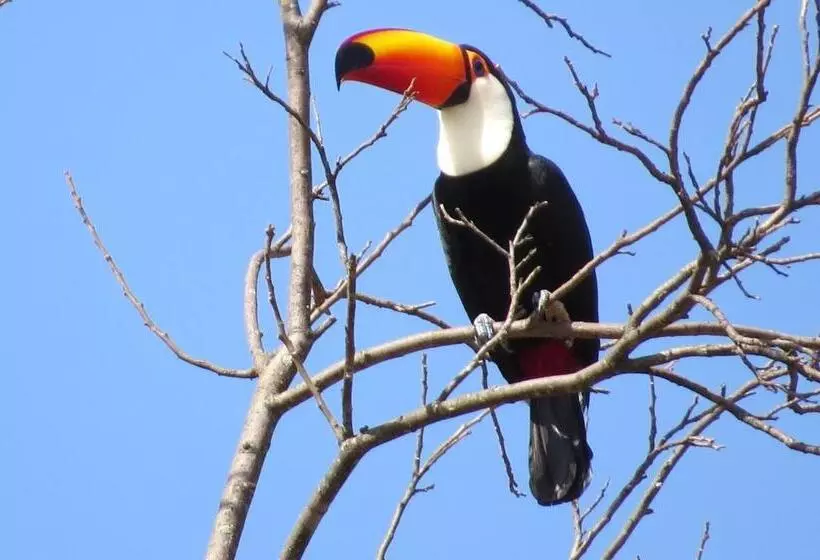 ユースホステル Pousada Luna Zen