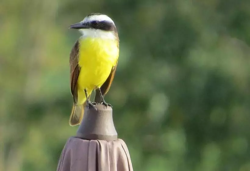 ユースホステル Pousada Luna Zen