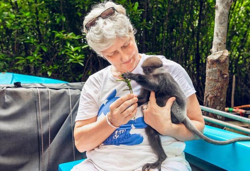 צימר Amandro Resort