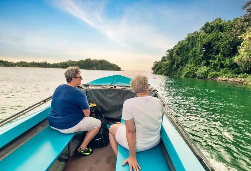 ベッドアンドブレックファースト Amandro Resort