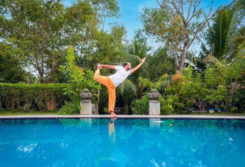 צימר Amandro Resort