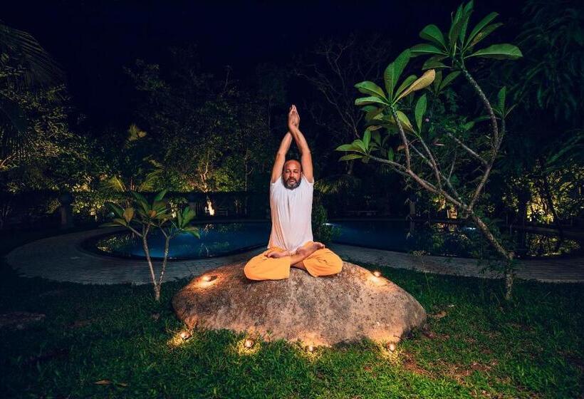 צימר Amandro Resort