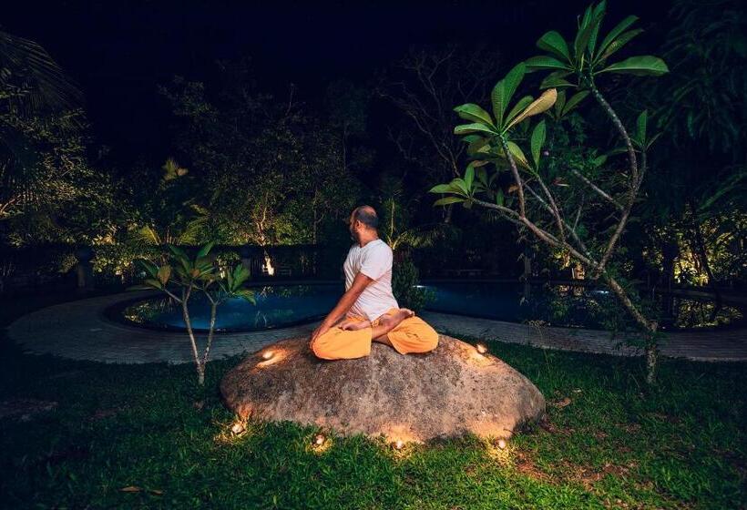 צימר Amandro Resort