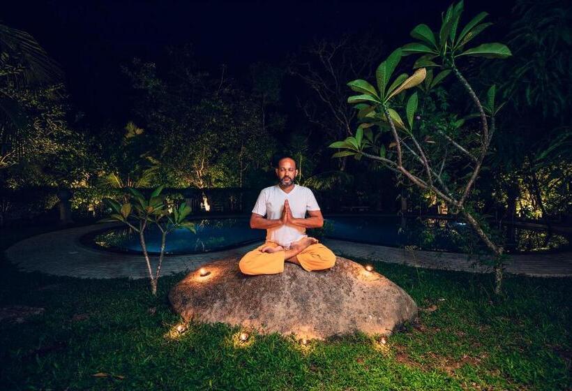 צימר Amandro Resort