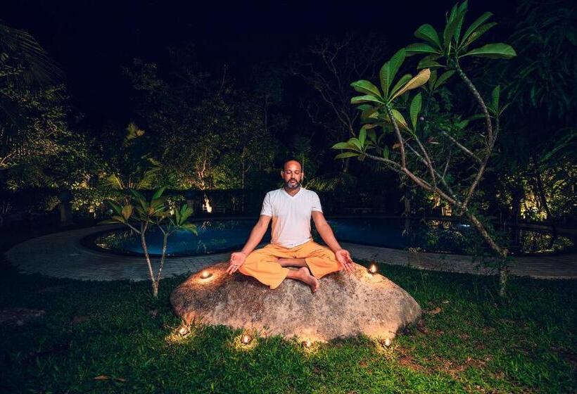 צימר Amandro Resort