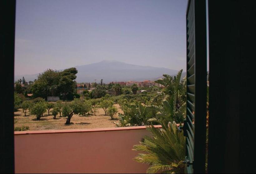 住宿加早餐 La Trinacria