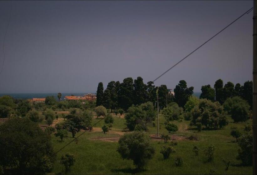 住宿加早餐 La Trinacria