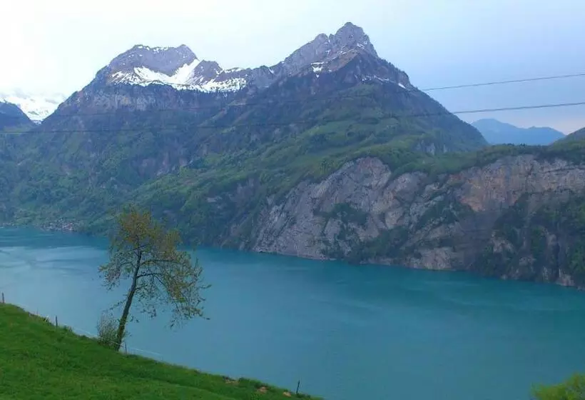 Aamiaismajoitus (B&B) Panorama Jurte über Dem Uri See B