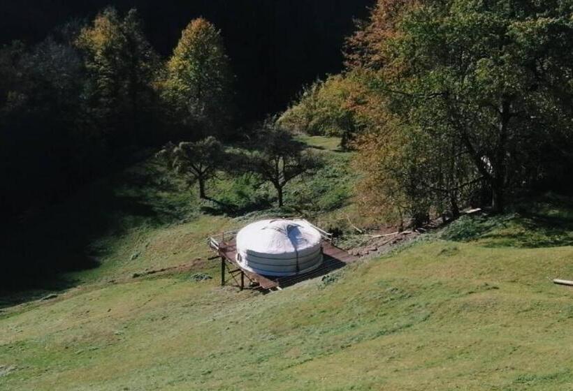 Bed and Breakfast Panorama Jurte über Dem Uri See B