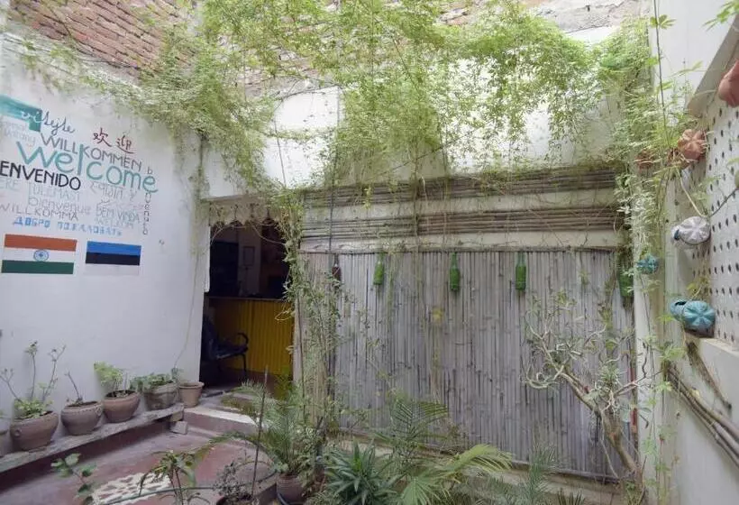 Chalo Eco Hostel