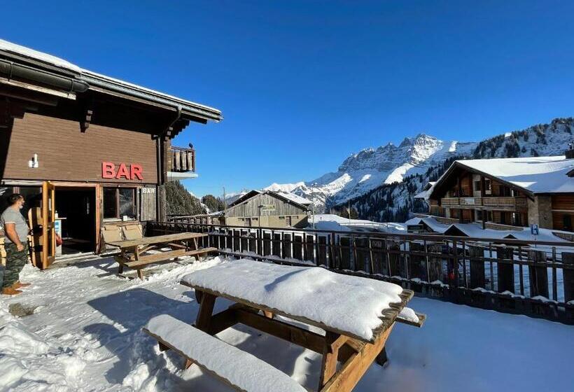 Freeride Hostel & Bar