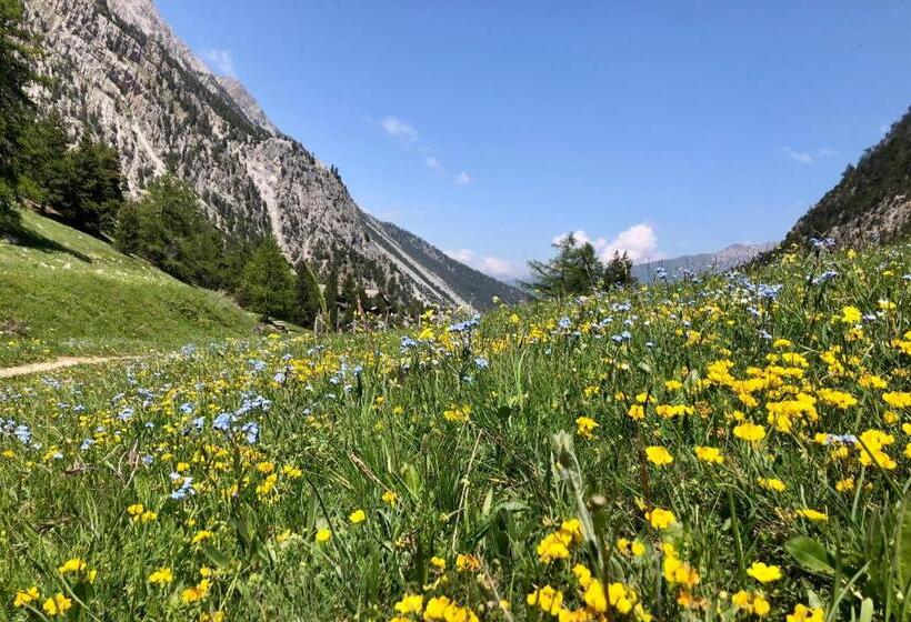 هتل Piccolo Chalet