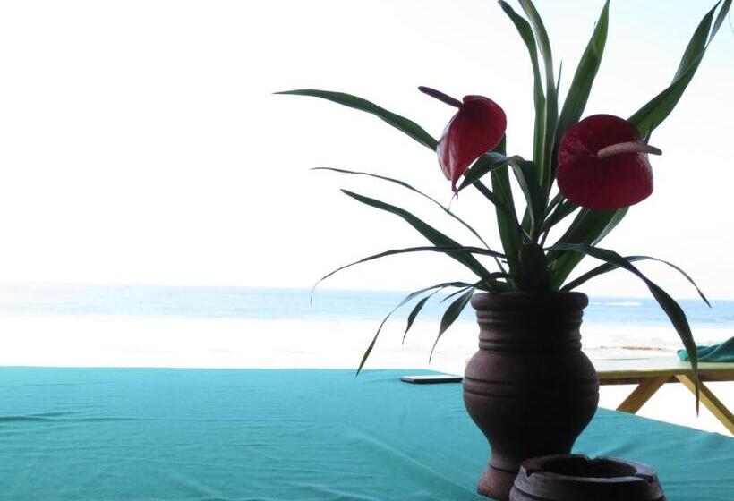 Mountain Wave Hotel And Surfshop