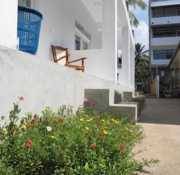 Mountain Wave Hotel And Surfshop