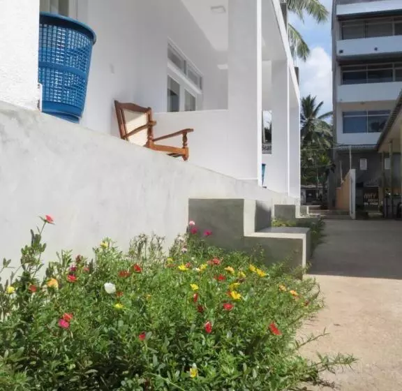 Mountain Wave Hotel And Surfshop