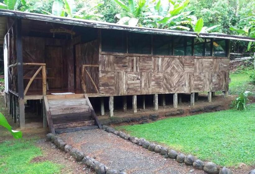 פנסיון El Chontal