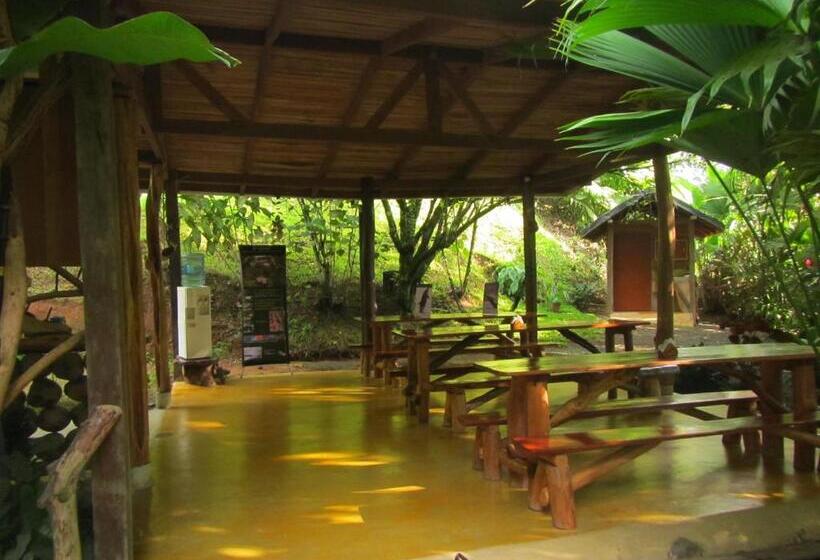 פנסיון El Chontal