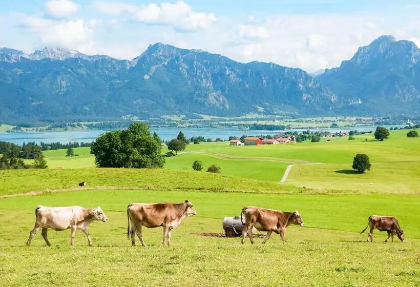Majatalo Gästehaus Isler