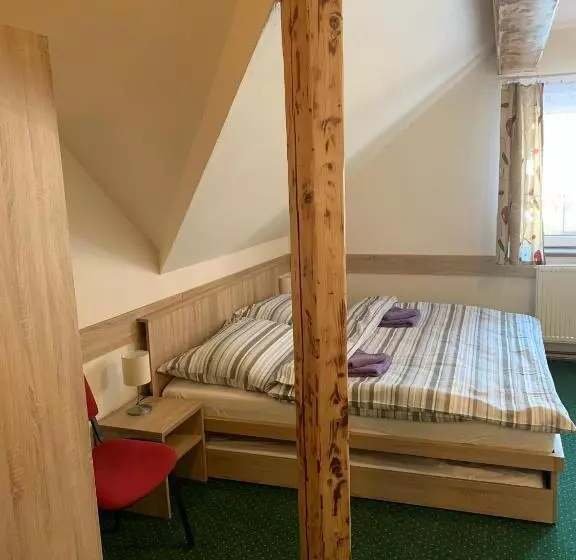 ペンション Penzion U Orla