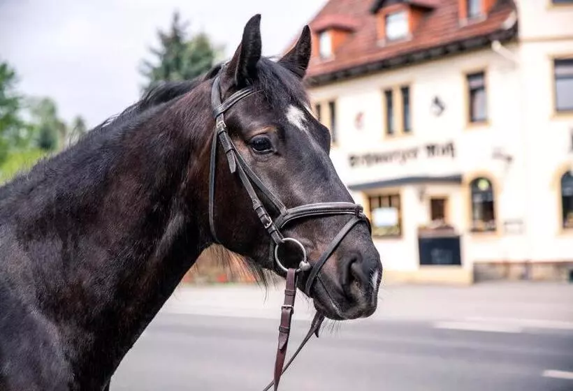 ペンション Schwarzes Ross